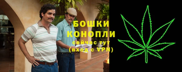 mix Белокуриха