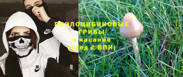 mix Белокуриха