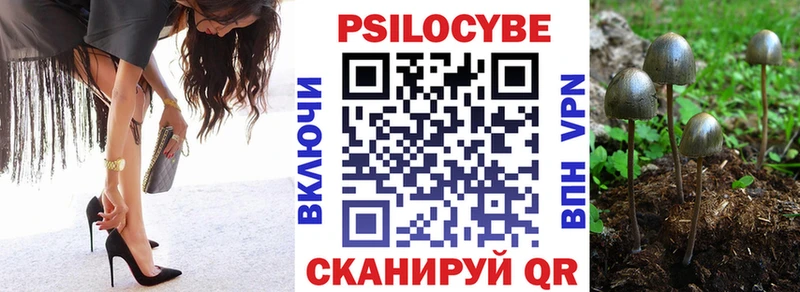 Галлюциногенные грибы Psilocybine cubensis  Купить где  Буй 
