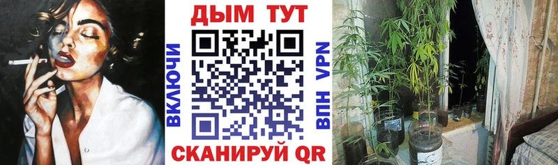 Шишки марихуана семена Буй